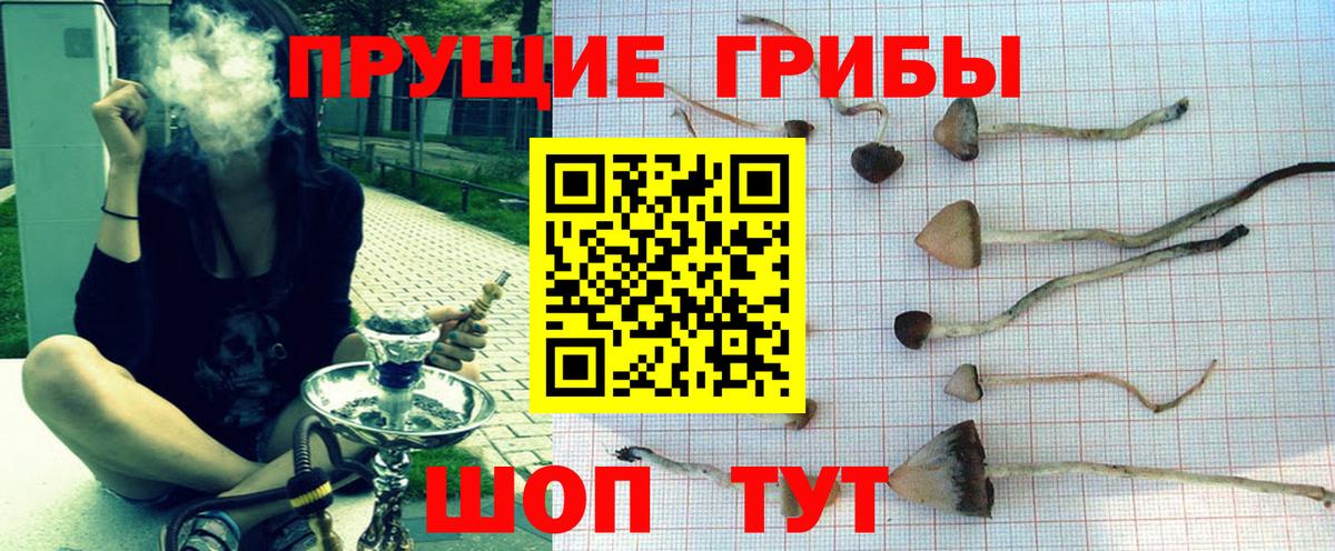 Галлюциногенные грибы Psilocybe  Псилоцибиновые грибы мицелий  Ликино-Дулёво  Вход с VPN 
