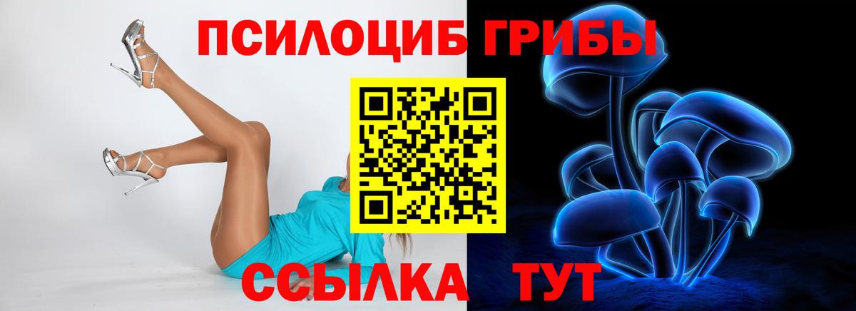 Галлюциногенные грибы прущие грибы Ликино-Дулёво